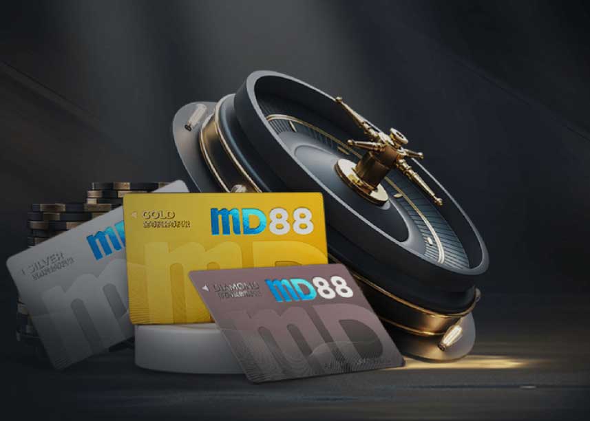 MD88-VIP-program-banner